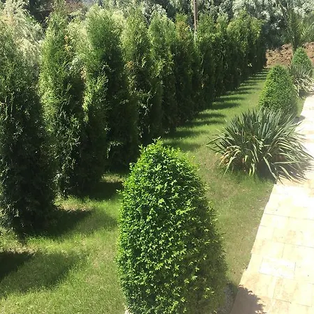 Apartament Catalin Mamaia